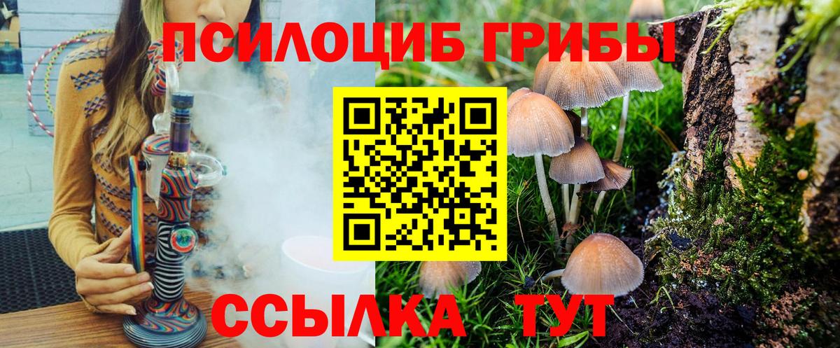 Галлюциногенные грибы Psilocybine cubensis Лабинск