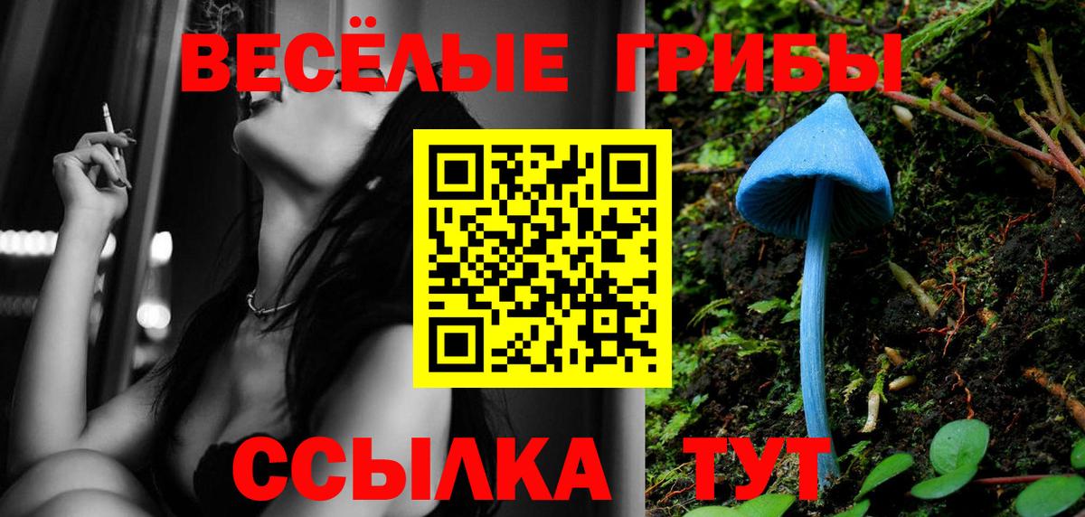 дарнет шоп  Вход с VPN  Лабинск  Псилоцибиновые грибы Psilocybe 